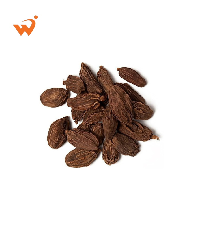 Black Cardamom (Kalo Elach) Premium Loose 50gm Black-Cardamom-Kalo-Elach-Premium-Loose-50gm