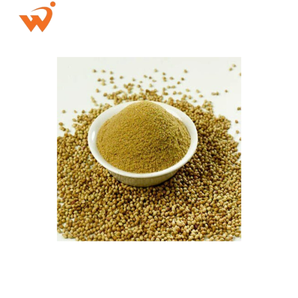 Coriander-Dhonia-Premium-Loose-100gm