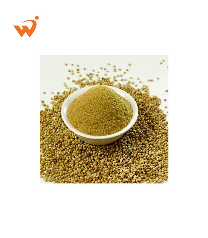 Coriander (Dhonia) Premium Loose 100gm Coriander-Dhonia-Premium-Loose-100gm