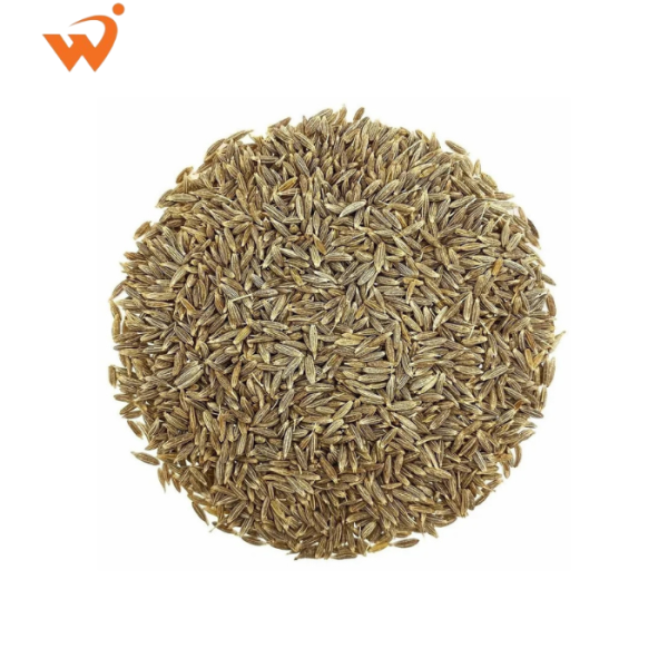 Cumin (Jeera) Premium Loose 100gm