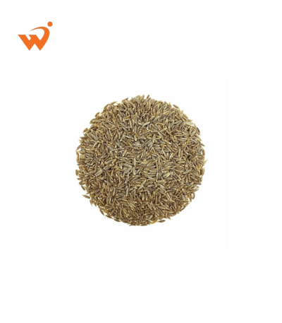 Cumin-Jeera-Premium-Loose-100gm
