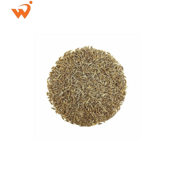 Cumin-Jeera-Premium-Loose-100gm