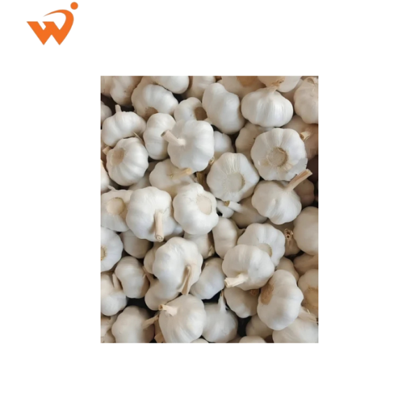Garlic-Premium-Loose-1-KG