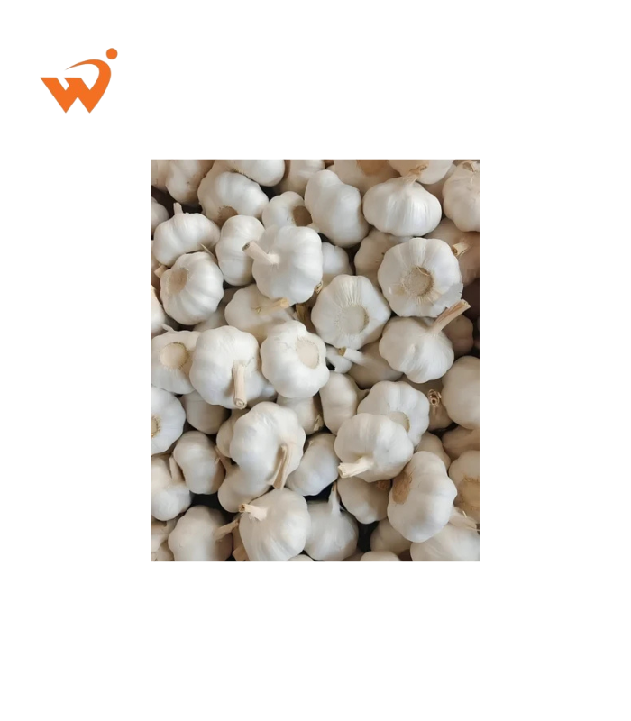 Garlic Premium Loose 1 KG Garlic-Premium-Loose-1-KG