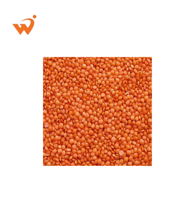 Mosur-Dal-Kangaroo-1-KG