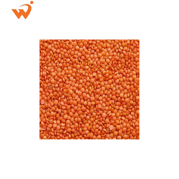 Mosur-Dal-Kangaroo-1-KG