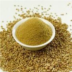 Coriander (Dhonia)