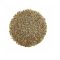 Cumin (Jeera)