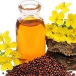 Mustard Oil