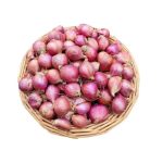 Onion