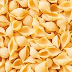 Pasta Shell